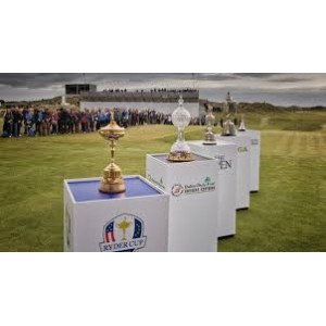 download 11 300x166 sqt