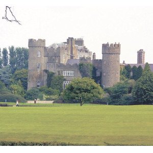 4635391346 300x275 sqt