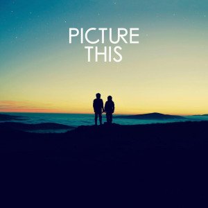 PICTURE THIS 300x300 sqt