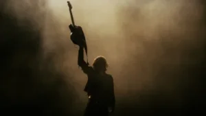 cat2 e1749457658995