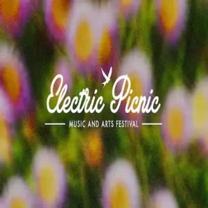 bus to electric picnic