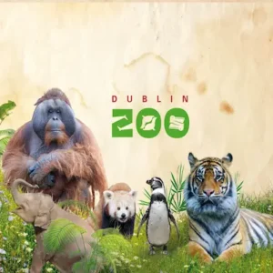 dublin zoo bus