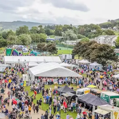 bus to auld llamas fair