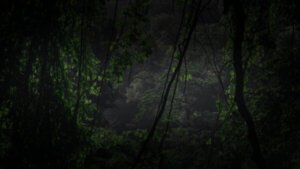 menu bg